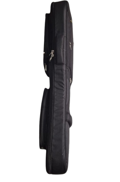 Cadine Electric Guitar bag